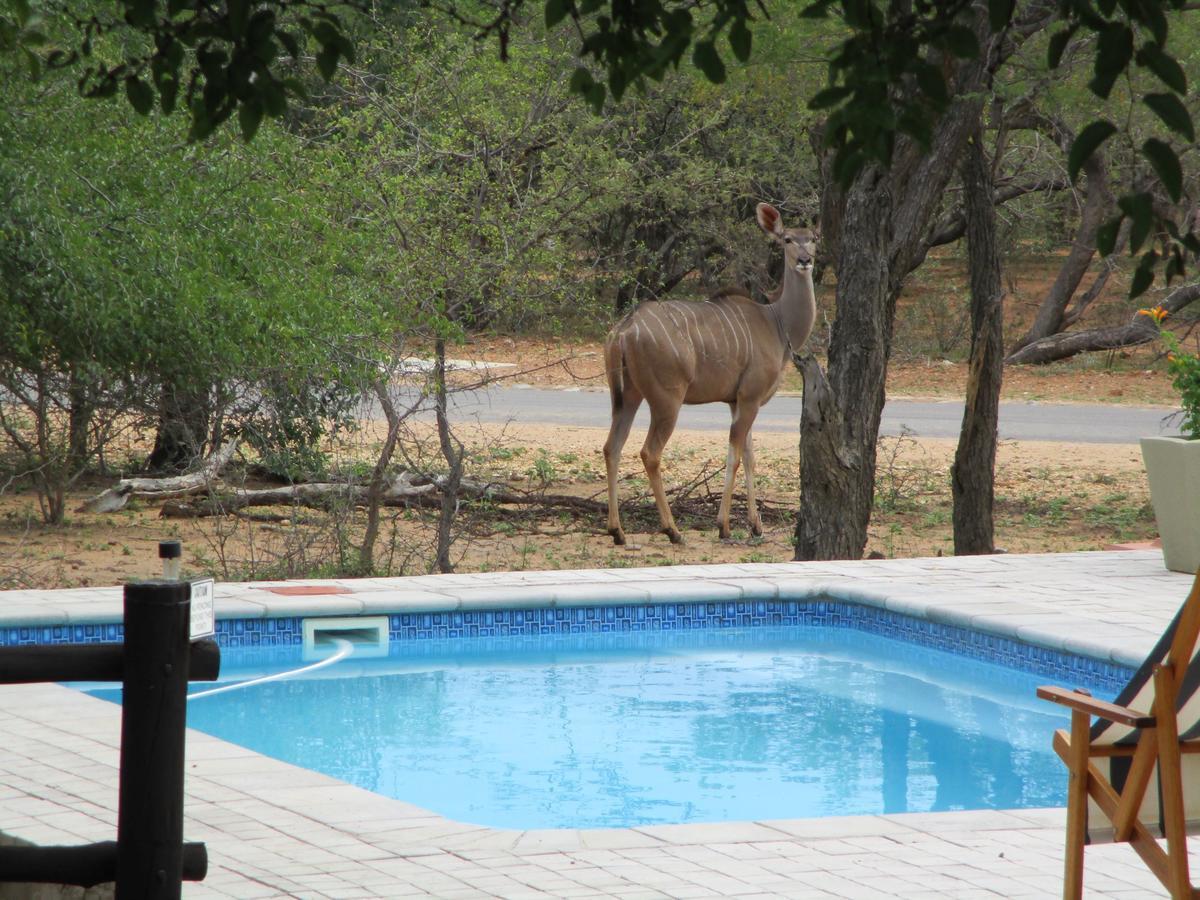 Woodpecker Lodge B&B Hoedspruit Eksteriør bilde
