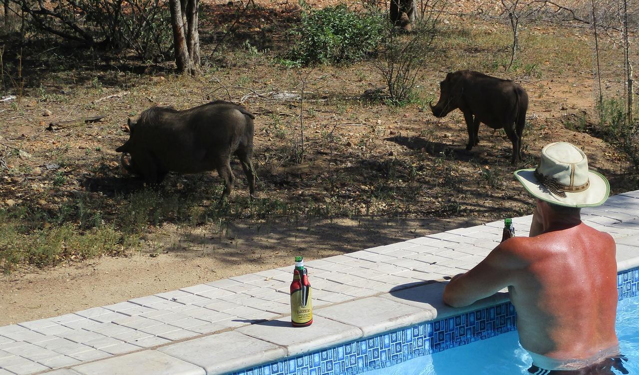 Woodpecker Lodge B&B Hoedspruit Eksteriør bilde